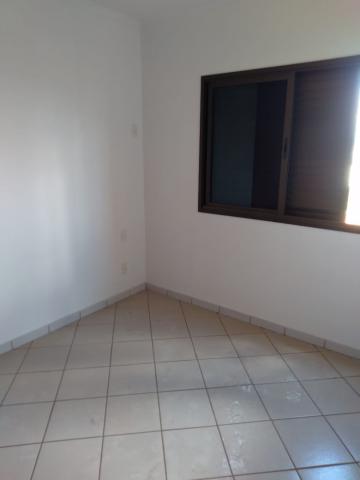 imagem 4 - Apartamento - Padrão imagem 4 - Apartamento - Padrão