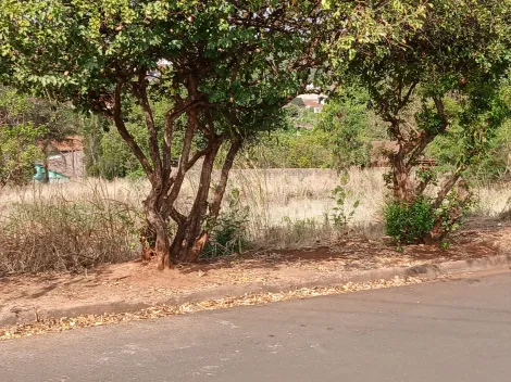imagem 3 - Terreno de 11.500m² à venda - Bonfim Paulista imagem 3 - Terreno de 11.500m² à venda - Bonfim Paulista