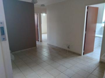 imagem 4 - APARTAMENTO NO ALTO DA BOA VISTA imagem 4 - APARTAMENTO NO ALTO DA BOA VISTA