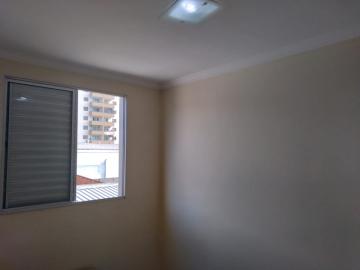 Alugar Apartamentos / Padrão em Ribeirão Preto R$ 1.250,00 - Foto 16