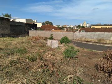 imagem 4 - Terreno - Padrão imagem 4 - Terreno - Padrão