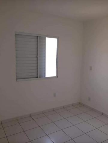 imagem 4 - Apartamento de 42m² com 02 quartos à venda - Vila Pompéia imagem 4 - Apartamento de 42m² com 02 quartos à venda - Vila Pompéia
