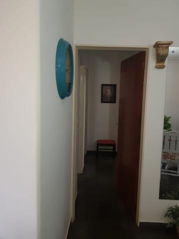 imagem 3 - Apartamento - Padrão imagem 3 - Apartamento - Padrão