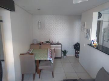 imagem 1 - Apartamento - Padrão imagem 1 - Apartamento - Padrão