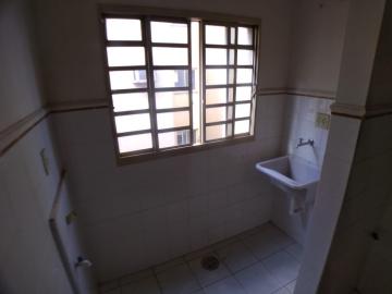imagem 4 - Apartamento de 01 quarto para locação - Lagoinha imagem 4 - Apartamento de 01 quarto para locação - Lagoinha