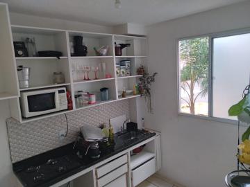 imagem 4 - Apartamento - Padrão imagem 4 - Apartamento - Padrão