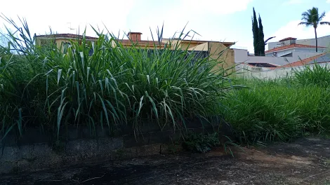 imagem 4 - Terreno de 450m² para venda e locação - Ribeirânia imagem 4 - Terreno de 450m² para venda e locação - Ribeirânia