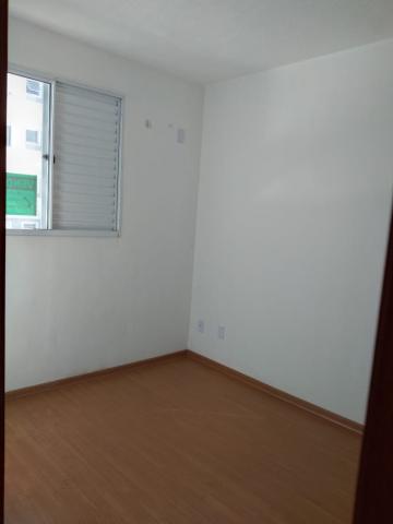 imagem 5 - Apartamento de 41m² com 02 quartos para venda e locação - Jardim Silvio Passalacqua imagem 5 - Apartamento de 41m² com 02 quartos para venda e locação - Jardim Silvio Passalacqua