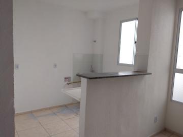 imagem 4 - Apartamento de 41m² com 02 quartos para venda e locação - Jardim Silvio Passalacqua imagem 4 - Apartamento de 41m² com 02 quartos para venda e locação - Jardim Silvio Passalacqua