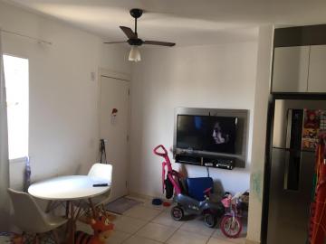imagem 1 - ****ÓTIMO APARTAMENTO***** imagem 1 - ****ÓTIMO APARTAMENTO*****