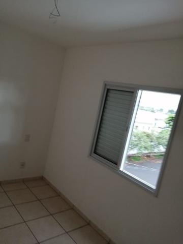 imagem 4 - Apartamento - Padrão imagem 4 - Apartamento - Padrão