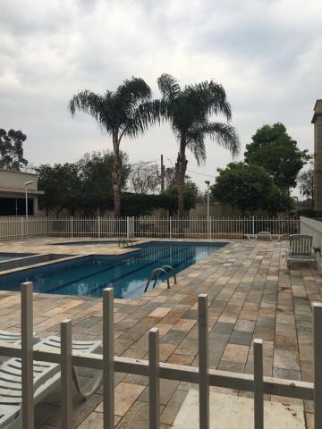 imagem 3 - Apartamento - Padrão imagem 3 - Apartamento - Padrão