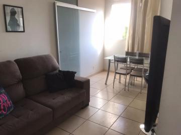 imagem 1 - Apartamento - Padrão imagem 1 - Apartamento - Padrão
