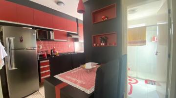 imagem 4 - ****LINDO APARTAMENTO**** imagem 4 - ****LINDO APARTAMENTO****