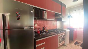 imagem 5 - ****LINDO APARTAMENTO**** imagem 5 - ****LINDO APARTAMENTO****