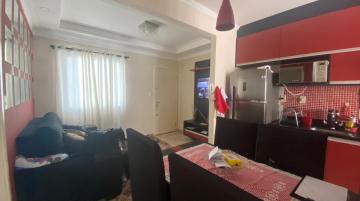imagem 1 - ****LINDO APARTAMENTO**** imagem 1 - ****LINDO APARTAMENTO****
