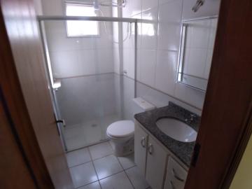 imagem 5 - APARTAMENTO NO NOVA ALIANÇA imagem 5 - APARTAMENTO NO NOVA ALIANÇA