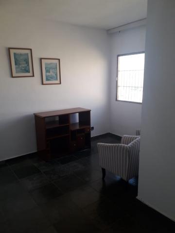 imagem 4 - APARTAMENTO NO JARDIM PALMA TRAVASSOS imagem 4 - APARTAMENTO NO JARDIM PALMA TRAVASSOS