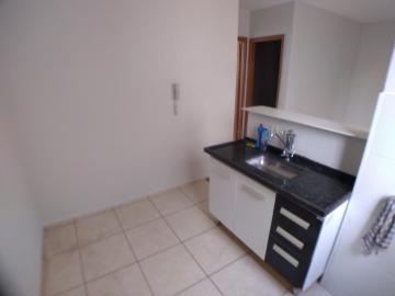 imagem 4 - APARTAMENTO NO RESIDENCIAL JEQUITIBA imagem 4 - APARTAMENTO NO RESIDENCIAL JEQUITIBA