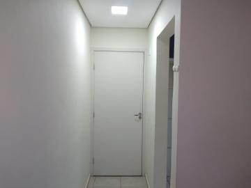Alugar Apartamentos / Padrão em Ribeirão Preto R$ 850,00 - Foto 30