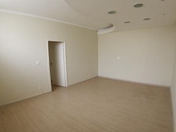 imagem 3 - Comercial padrão - Casa comercial imagem 3 - Comercial padrão - Casa comercial