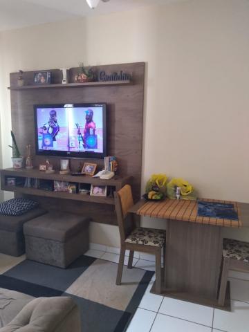 imagem 1 - LINDO APARTAMENTO imagem 1 - LINDO APARTAMENTO