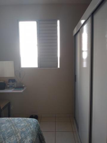 imagem 5 - LINDO APARTAMENTO imagem 5 - LINDO APARTAMENTO