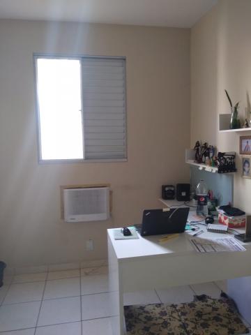 imagem 4 - LINDO APARTAMENTO imagem 4 - LINDO APARTAMENTO