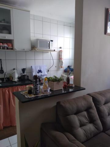 imagem 3 - LINDO APARTAMENTO imagem 3 - LINDO APARTAMENTO