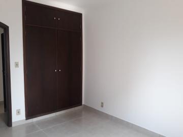 imagem 2 - APARTAMENTO NO CENTRO imagem 2 - APARTAMENTO NO CENTRO