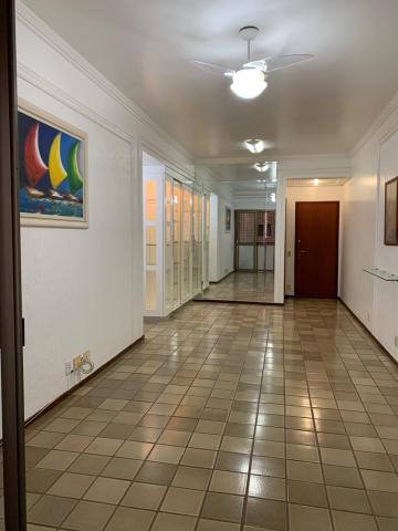 imagem 1 - Apartamento - Padrão imagem 1 - Apartamento - Padrão