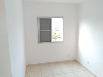 imagem 5 - Apartamento - Padrão imagem 5 - Apartamento - Padrão