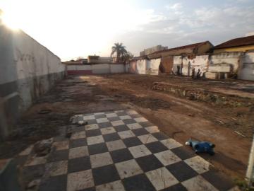 imagem 2 - TERRENO 600M² NOS CAMPOS ELÍSEOS imagem 2 - TERRENO 600M² NOS CAMPOS ELÍSEOS