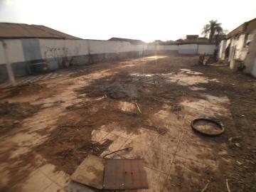 imagem 5 - TERRENO 600M² NOS CAMPOS ELÍSEOS imagem 5 - TERRENO 600M² NOS CAMPOS ELÍSEOS