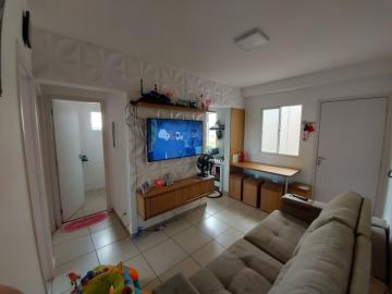 imagem 1 - APARTAMENTO NO JARDIM ZARA imagem 1 - APARTAMENTO NO JARDIM ZARA