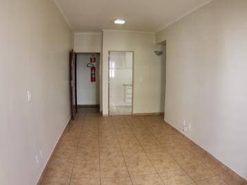 imagem 2 - APARTAMENTO COM PORTARIA 24 HORAS NO CENTRO imagem 2 - APARTAMENTO COM PORTARIA 24 HORAS NO CENTRO