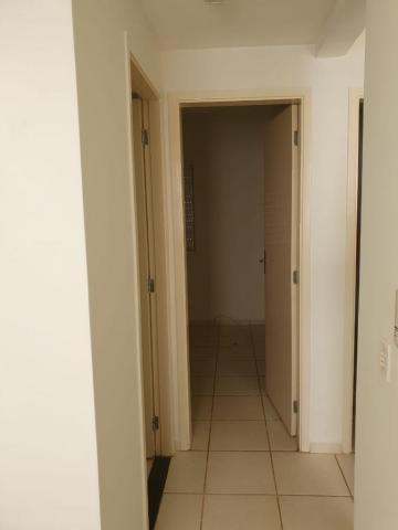 imagem 3 - APARTAMENTO PRÓXIMO À AVENIDA BARÃO DO BANANAL imagem 3 - APARTAMENTO PRÓXIMO À AVENIDA BARÃO DO BANANAL