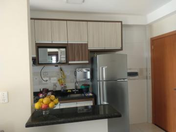 imagem 4 - LINDO APARTAMENTO NO JARDIM ZARA imagem 4 - LINDO APARTAMENTO NO JARDIM ZARA