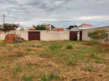 imagem 1 - TERRENO MURADO imagem 1 - TERRENO MURADO