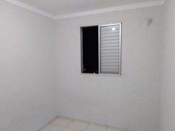 imagem 5 - Apartamento de 46m² com 02 quartos para venda e locação - Condomínio Mirante Sul imagem 5 - Apartamento de 46m² com 02 quartos para venda e locação - Condomínio Mirante Sul