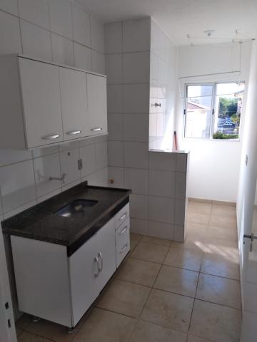 imagem 3 - APARTAMENTO NO JARDIM MARCHESI imagem 3 - APARTAMENTO NO JARDIM MARCHESI
