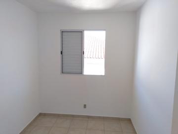 imagem 5 - APARTAMENTO NO JARDIM MARCHESI imagem 5 - APARTAMENTO NO JARDIM MARCHESI