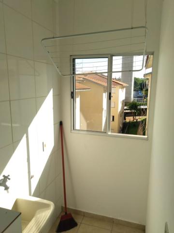 imagem 4 - APARTAMENTO NO JARDIM MARCHESI imagem 4 - APARTAMENTO NO JARDIM MARCHESI