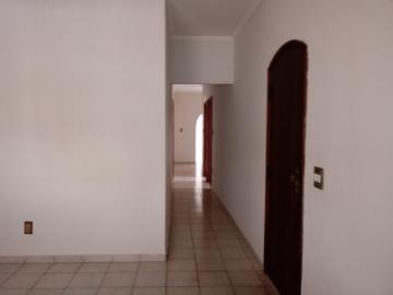 imagem 1 - Casa térrea de 158m² com 03 quartos - Jardim José Sampaio Júnior imagem 1 - Casa térrea de 158m² com 03 quartos - Jardim José Sampaio Júnior
