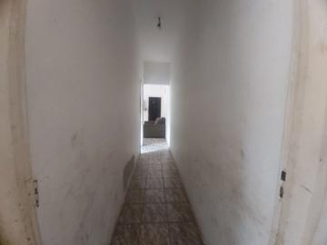 imagem 4 - CASA NA VILA TIBÉRIO imagem 4 - CASA NA VILA TIBÉRIO