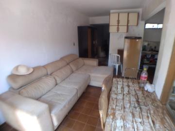 Comercial / Casa Comercial em Ribeirão Preto 