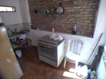 imagem 5 - CASA TÉRREA COMERCIAL NO JARDIM MACEDO imagem 5 - CASA TÉRREA COMERCIAL NO JARDIM MACEDO