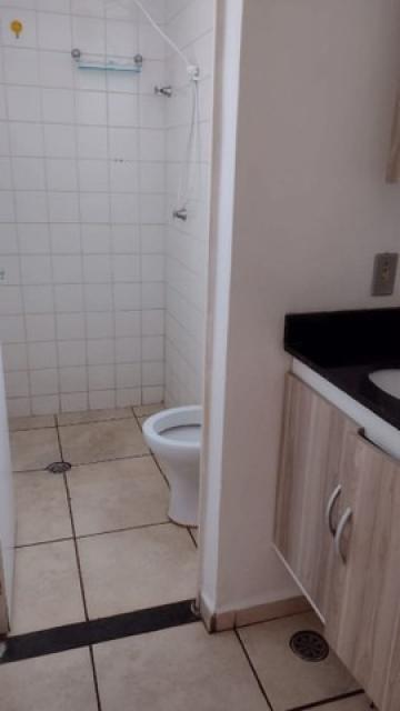 imagem 5 - APARTAMENTO NO EUGÊNIO LOPES imagem 5 - APARTAMENTO NO EUGÊNIO LOPES