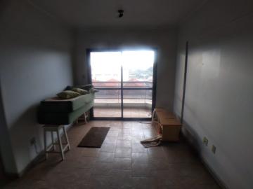 imagem 3 - Apartamento - Padrão imagem 3 - Apartamento - Padrão