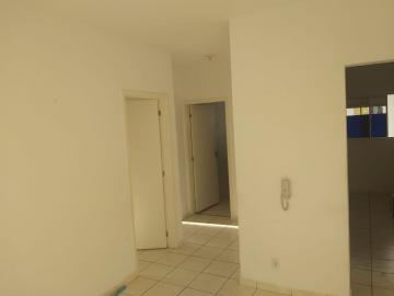 Alugar Casas / Condomínio em Ribeirão Preto. apenas R$ 680.000,00